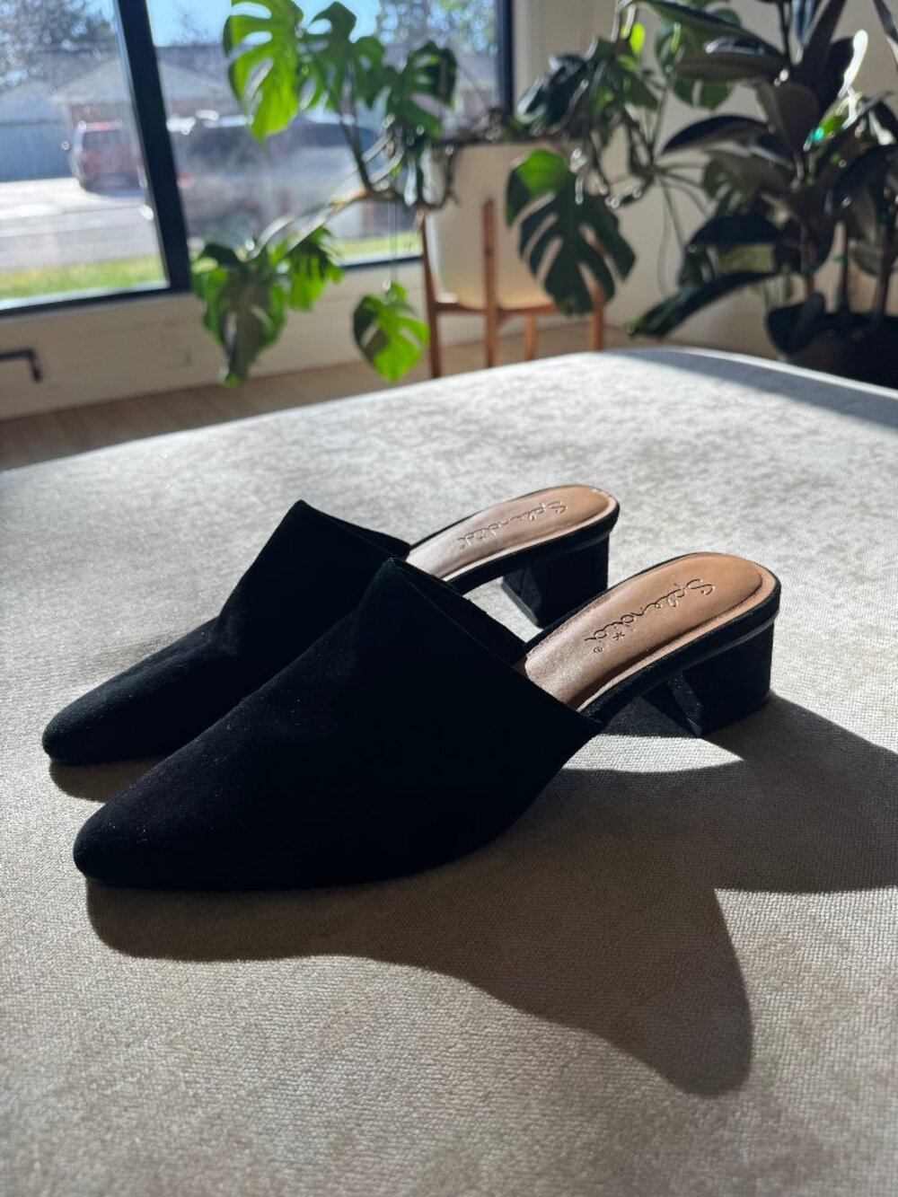 Splendid Lorelei Suede Mule 8.5